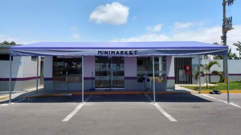 Protección Solar con Estilo: Toldos que Combaten el Calor del Verano